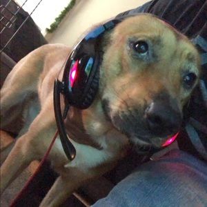 Meet your Posher, Ramon